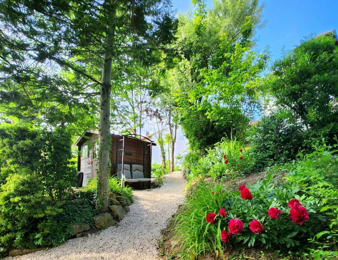 Gardenview Apartments & Suites Bei Bad Kissingen Nüdlingen Kültér fotó