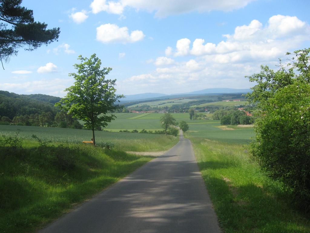 Gardenview Apartments & Suites Bei Bad Kissingen Nüdlingen Kültér fotó